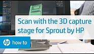 Scanning Using the 3D Capture Stage on Sprout by HP | HP Sprout | HP