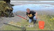 Lincoln City Clamming - Learn To Clam at Siletz Bay, Softshell and Purple Varnish Clams