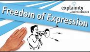 Freedom of Expression explained (explainity® explainer video)