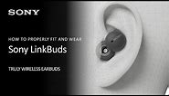 Sony | How To Properly Fit And Wear LinkBuds Truly Wireless Earbuds