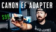 Canon EF/RF Adapter: All Your Questions Answered!