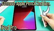 iPad Pro: How to Connect/Pair Apple Pencil 2nd Generation