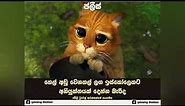 Fb funny post | Sinhala joke post 38 / Nittawa