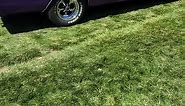 The 1968 Dodge Charger R/T: A Muscle Car Legend in Purple