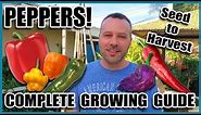 Pepper Growing Tips - Complete Gardening Guide on How to Grow Peppers // Grow More Peppers per Plant