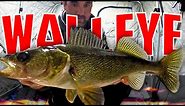 ice fishing for walleye | Learn This Rig