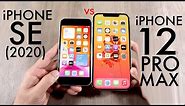 iPhone 12 Pro Max Vs iPhone SE (2020)! (Comparison) (Review)