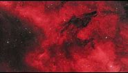 The Dark Wolf Nebula - An Astrophotography Spotlight and Deep Dive