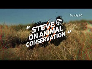 Deadly 60 | Steve Backshall | BBC Player