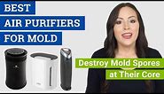 Best Air Purifier for Mold and Mildew (2021 Reviews & Buying Guide) Top Air Cleaners for Mold