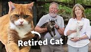 Video: Florida Couple Runs a Retirement Home for Cats