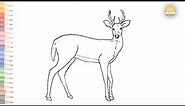 whitetail deer drawing easy | How to draw whitetail deer outline sketch step by step
