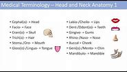 Medical Terminology | Lesson 6 | Anatomy and Anatomical Terms