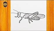 How To Draw A Cricket (insect)