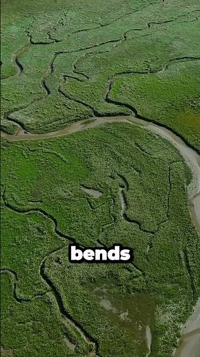 Why Rivers Move in Curves