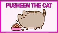 PUSHEEEN THE CAT VIDEOS - Funny Pusheen Video Compilation