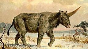 Real unicorns were actually pretty ugly