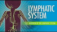 Lymphatic System: Crash Course Anatomy & Physiology #44