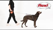 How to use a flexi® Leash - The only original retractable leash 2024