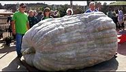 The Biggest Vegetable on Earth is Bigger Than Your Imagination