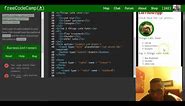 Create a Set of Radio Buttons, freeCodeCamp review html & css, lesson 32