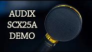 Audix SCX25 Microphone Demo