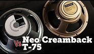 Celestion G12T-75 Vs Neo Creamback shootout plus speaker mix