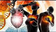Alpha Waves Heal Heart And Blood Vessel, Your Body Will Have Clear Changes,Full Body Massage #4