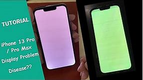 iPhone 13 Pro LCD Bug Fix 【Tutorial】White Green Display Problem