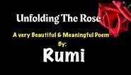Rumi: Unfolding the Rose | Rumi Poems | Rumi Best Lines | Maulana Rumi | Rumi: Life Changing Quotes