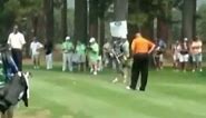 Compilation of Charles Barkley's hilarious golf swings