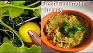 Fresh cucumber chutney Recipe|cucumber chutney