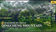 Hiking in China Mountains - Qingcheng Mountain from Front Gate Part.1 | Chengdu, Sichuan