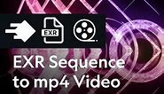 How to convert an EXR or PNG image sequence to mp4 videos for daily reviews