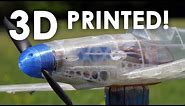 HOW TO 3D PRINT your own RC AIRPLANE