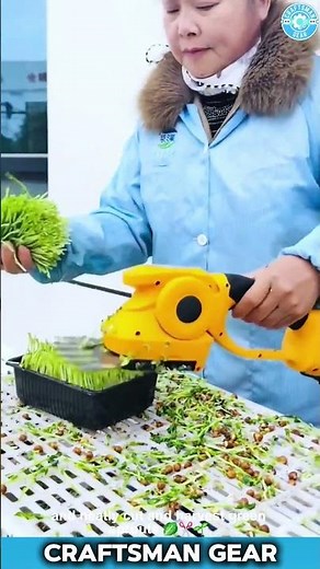 Microgreens HARVESTED with a handheld electric trimmer AMAZING farming technology QUICK 👩‍🌾