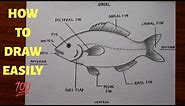 how to draw and label diagram of Fish easily - step by step / How to draw Fish in just 5 minutes