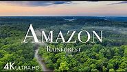 Amazon in 4K - The World’s Largest Tropical Rainforest | Aerial Drone | Scenic Relaxation Film