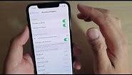 iPhone 11 Pro: How to Set Volume Key to Change Ringer and Alert Sound Together