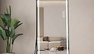 LAIYA Led Mirror Full Length 65”X21” Full Body Mirror Led with Standing Full Size Wall-Mounted Mirrors for Bedroom,Living Room,Hotel etc Big Size Smart Touch Mirrors, 3 Colors Lighting