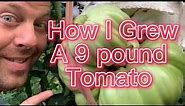Tips, Tricks, and Secrets to growing some of the largest tomatoes on earth￼
