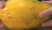 How to Tell If a Papaya is Ripe