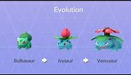 VENUSAUR Full Evolution Chain! HUGE Bulbasaur And Ivysaur Evolving Into Venusaur In Pokémon GO