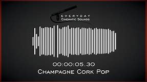 Champagne Cork Pop | HQ Sound Effects