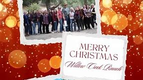 Merry Christmas from our barn family to yours! . . . . #willowcreekranchvc #michaeldamianosperfhorses #merrychristmas #happyholidays #horses #minihorse #christmas | Willow Creek Ranch