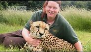 Zookeeper Rosa King killed by tiger at Hamerton Zoo Park