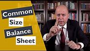 How to Make a Common Size Balance Sheet