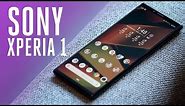 Sony Xperia 1 review: a tall order