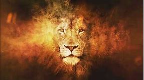 Lion on Fire Effect Live wallpaper - Animated background wallpapers loops videos