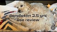 Pendleton blanket review-- 2.5 yrs of use